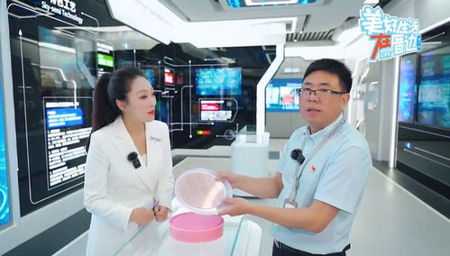 冲向2025年 300G竞速下的移动通讯新纪元